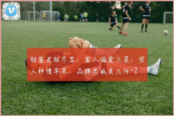 财富差距尽显，富人偏爱三星，穷人钟情苹果，品牌忠诚度几何