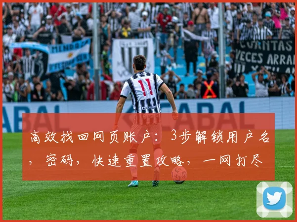 高效找回网页账户：3步解锁用户名，密码，快速重置攻略，一网打尽